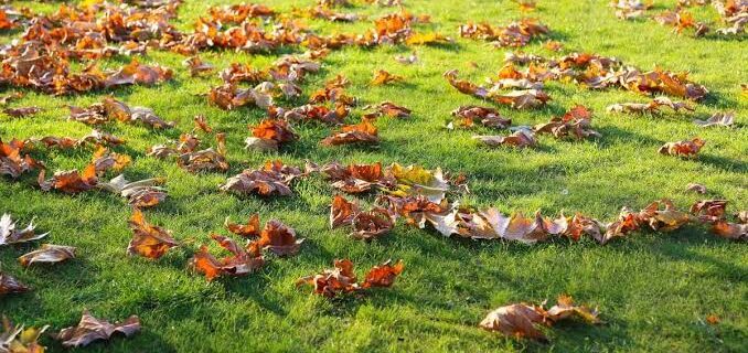 images (12)